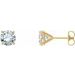 14K Yellow 1 CTW Natural Diamond Cocktail-Style Earrings