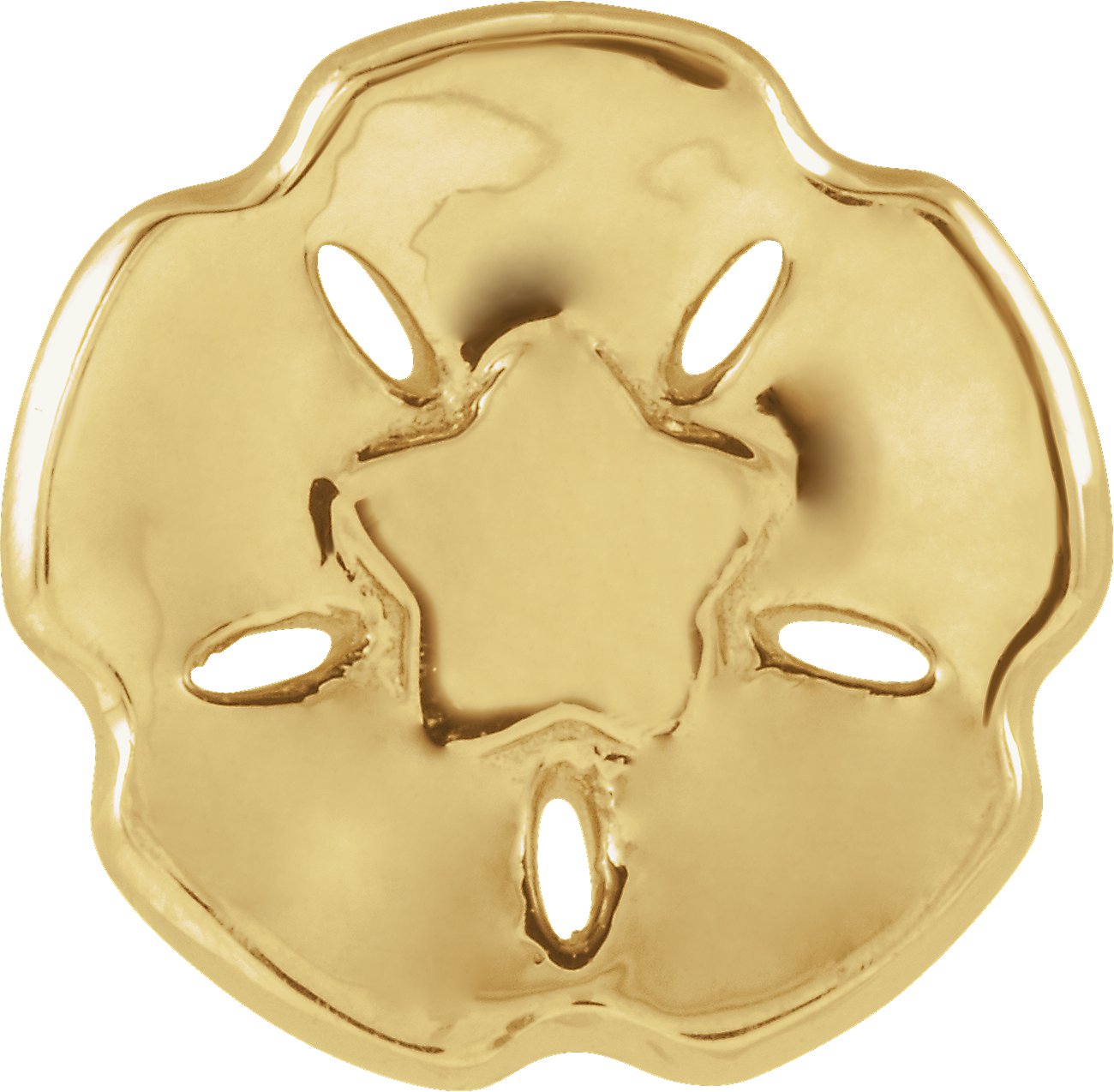 Sand Dollar Trim