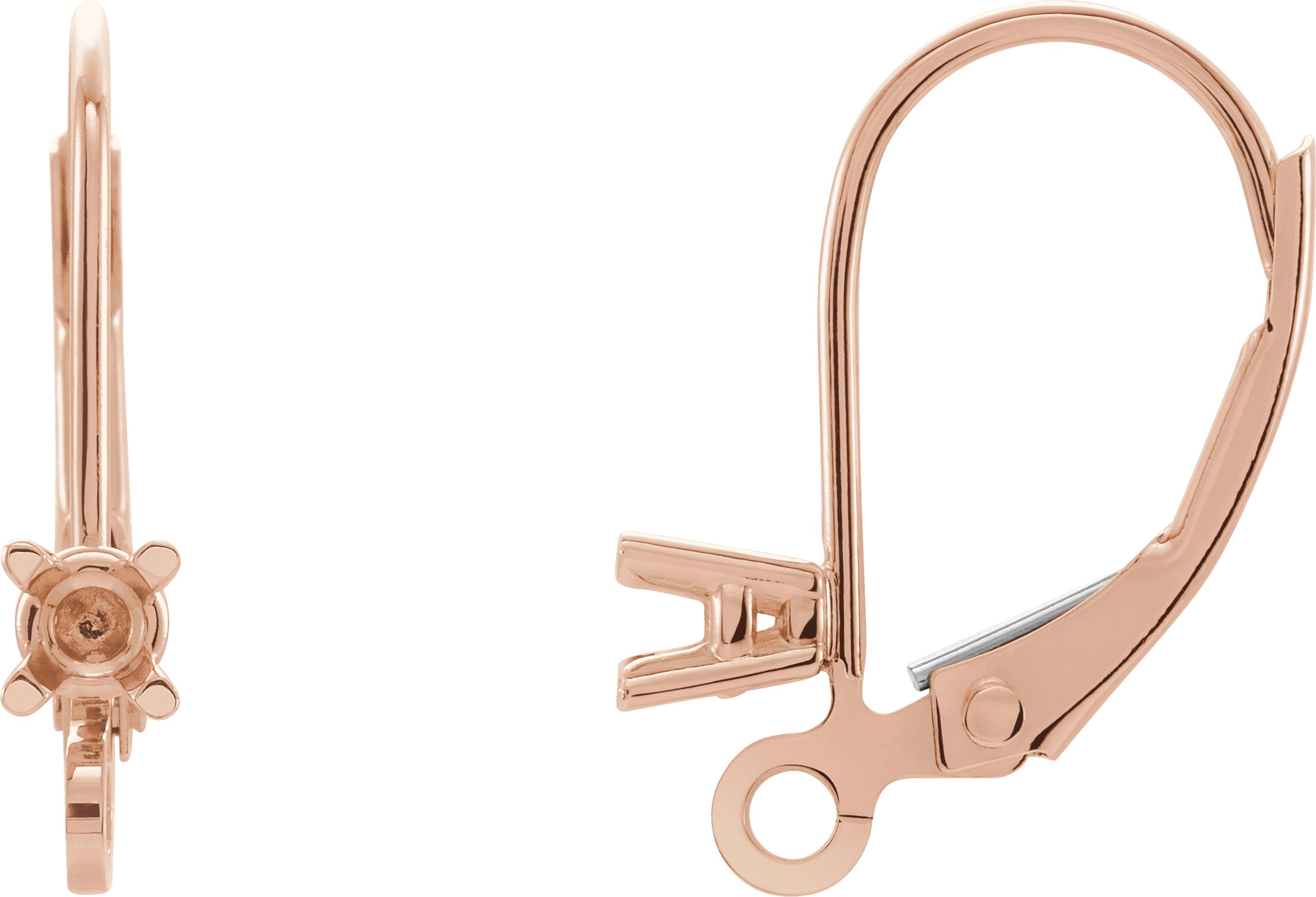 Accented Lever Back Earring Top