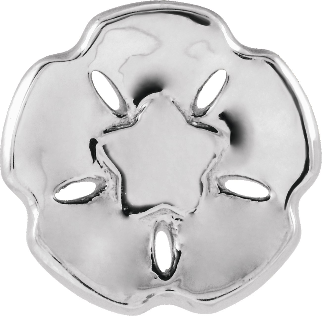 Sand Dollar Trim