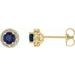 14K Yellow 4 mm Lab-Grown Blue Sapphire & 1/8 CTW Natural Diamond Earrings