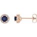 14K Rose 6 mm Lab-Grown Blue Sapphire & 1/4 CTW Natural Diamond Earrings