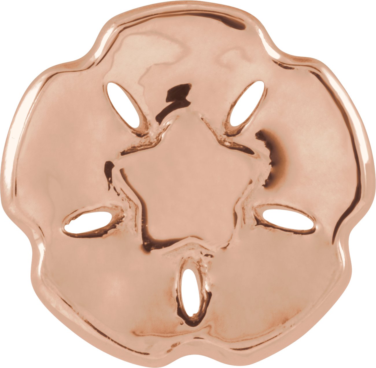 Sand Dollar Trim