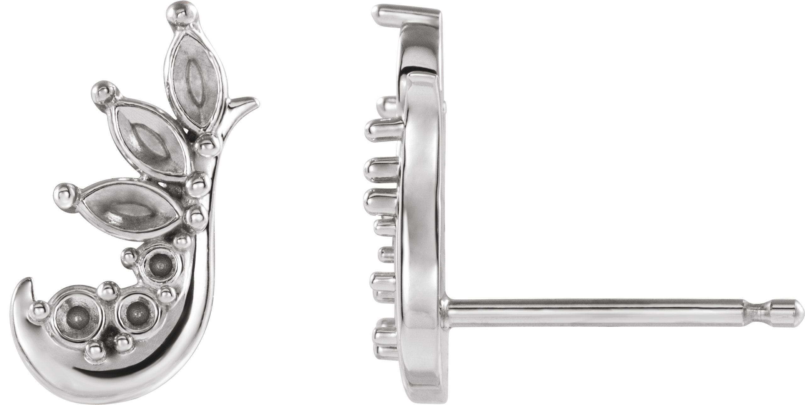 Accented Ear Climbers
