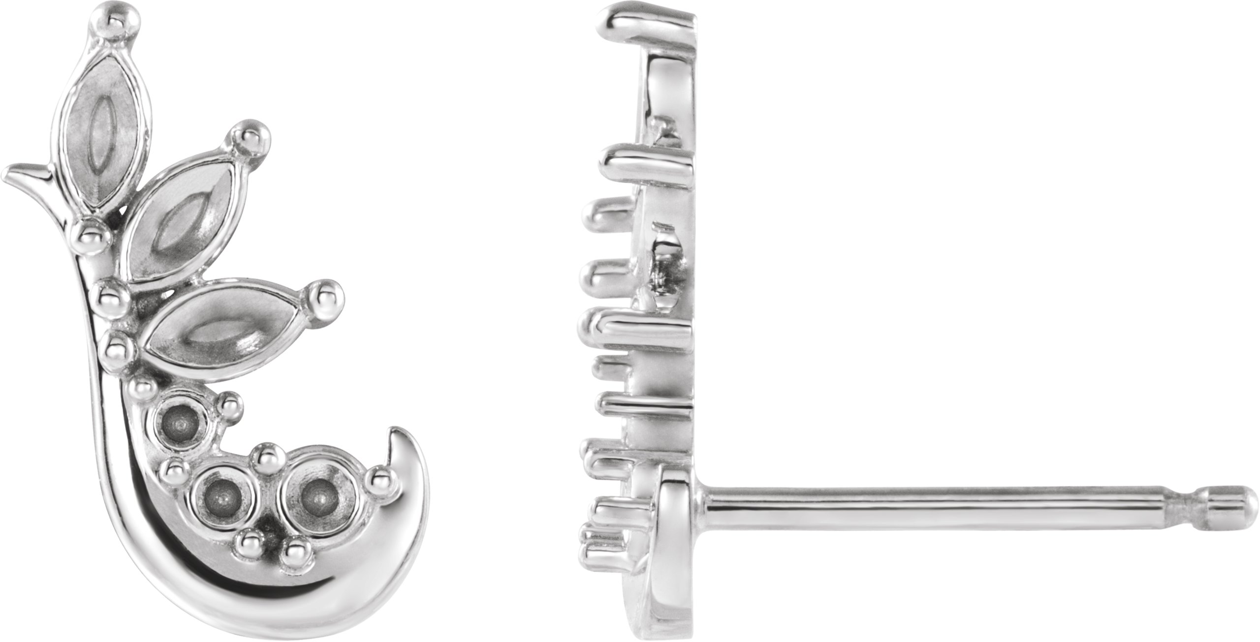 Accented Ear Climbers