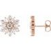 14K Rose 1 CTW Natural Diamond Earrings