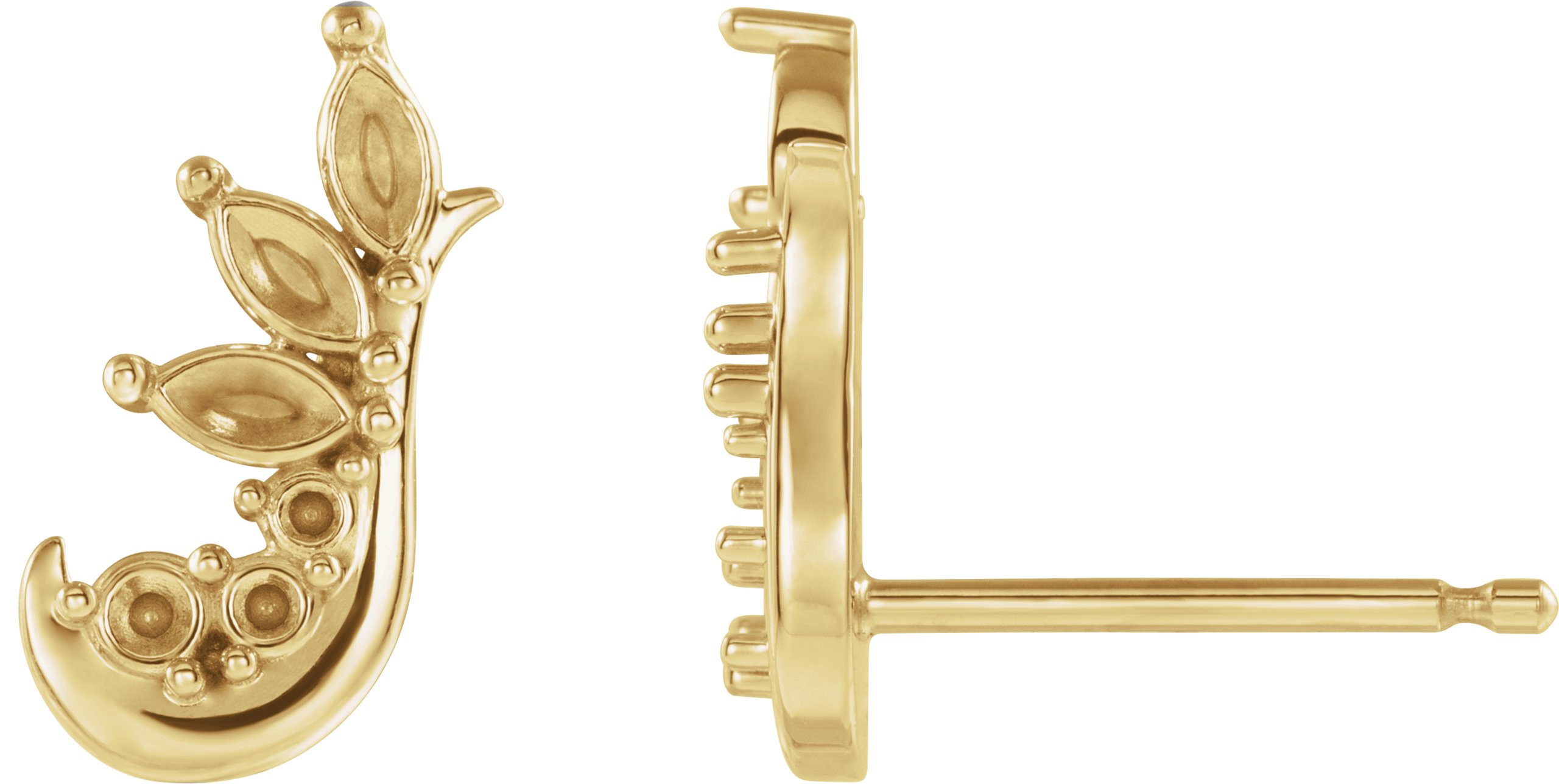 Accented Ear Climbers