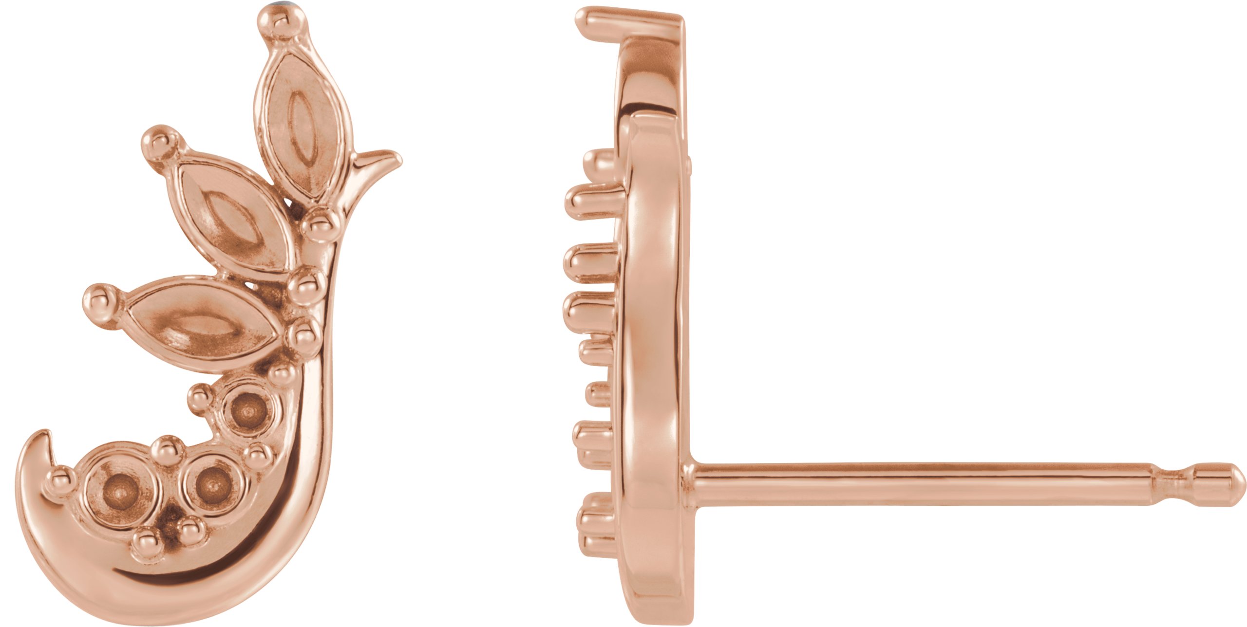 Accented Ear Climbers