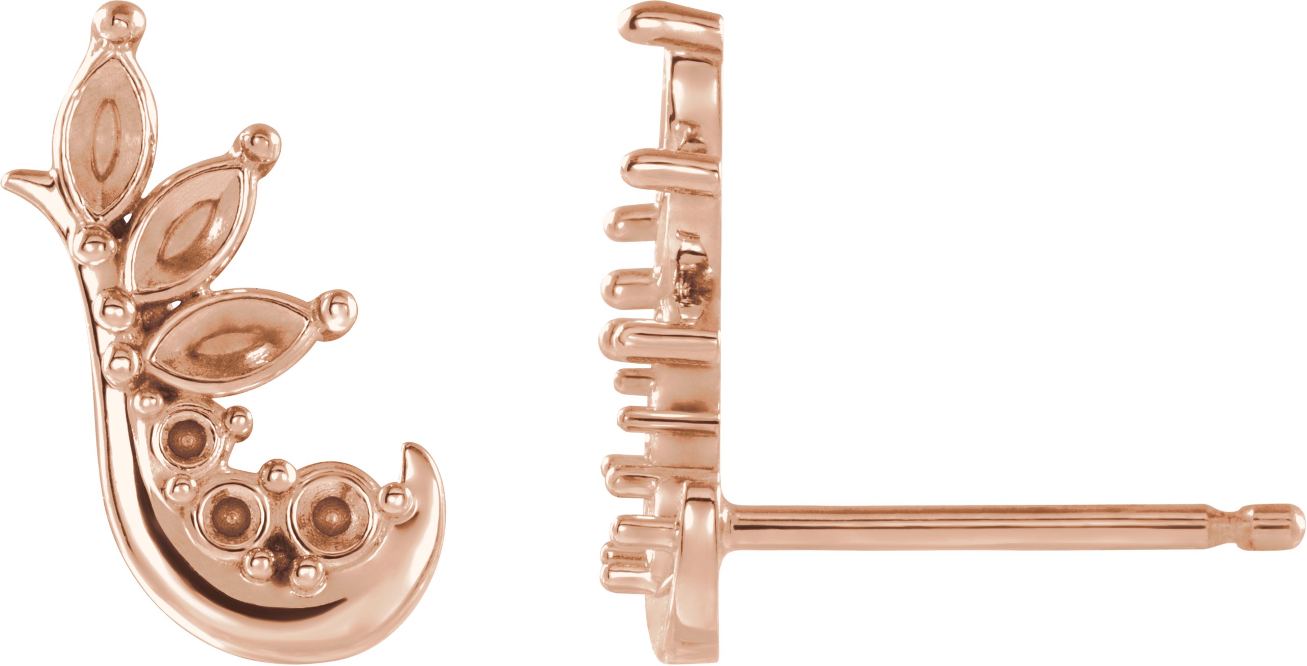 Accented Ear Climbers