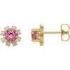14K Yellow Pink Tourmaline and .07 CTW Diamond Earrings Ref 15389383