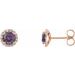 14K Rose 5.5 mm Lab-Grown Alexandrite & 1/8 CTW Natural Diamond Earrings