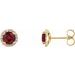 14K Yellow 4.5 mm Lab-Grown Ruby & 1/10 CTW Natural Diamond Earrings