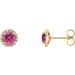 14K Yellow 3 mm Natural Pink Tourmaline & 1/10 CTW Natural Diamond Earrings