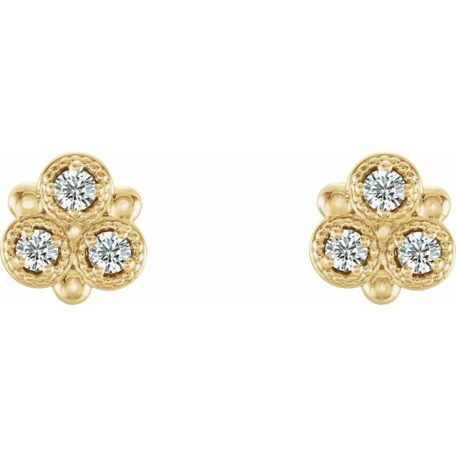 14K Yellow 1/5 CTW Natural Diamond Earrings                       