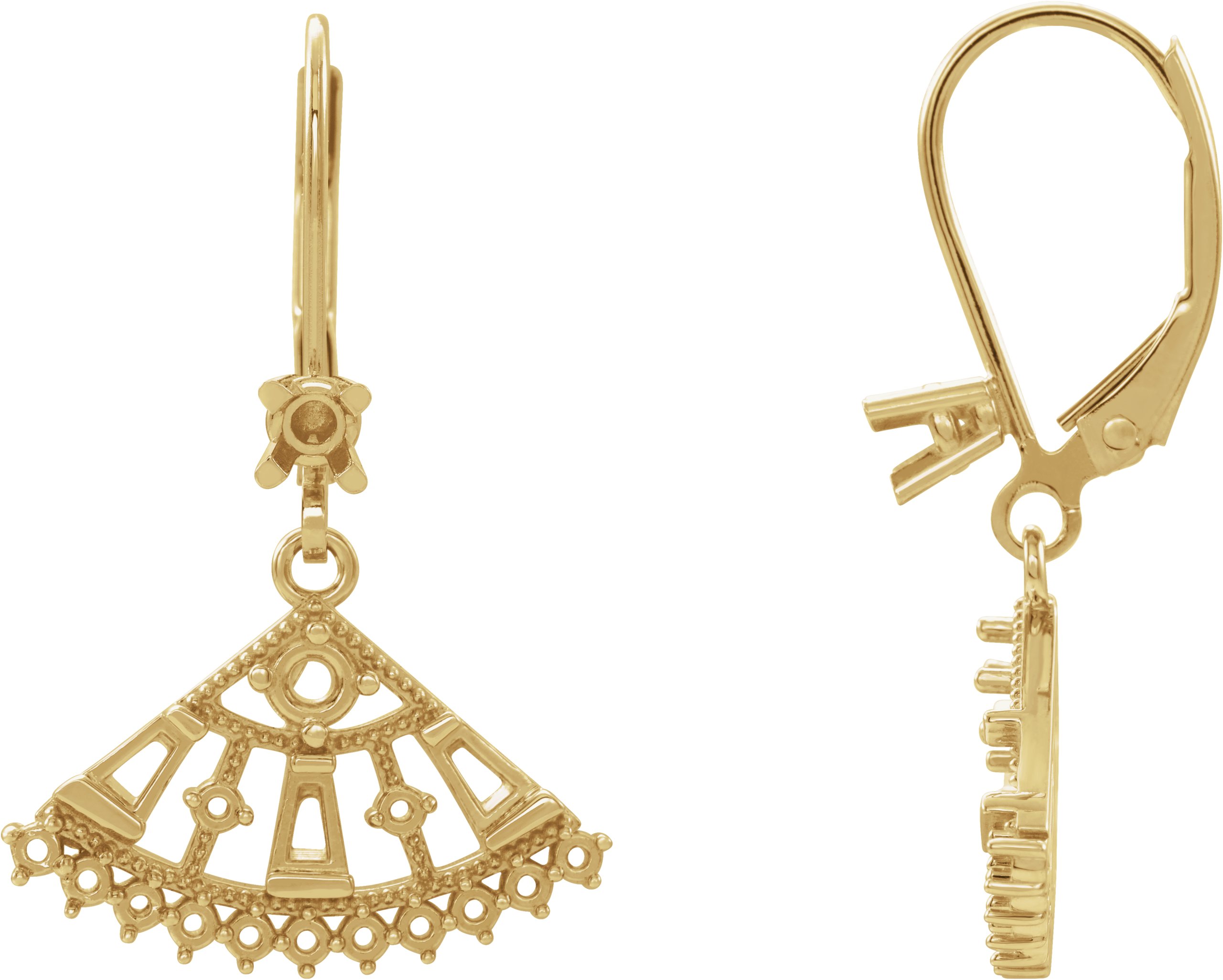 Accented Lever Back Earrings