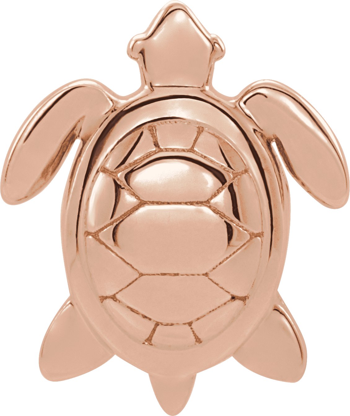 Sea Turtle Trim