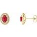 14K Yellow 6x4 mm Lab-Grown Ruby & 1/5 CTW Natural Diamond Halo-Style Earrings