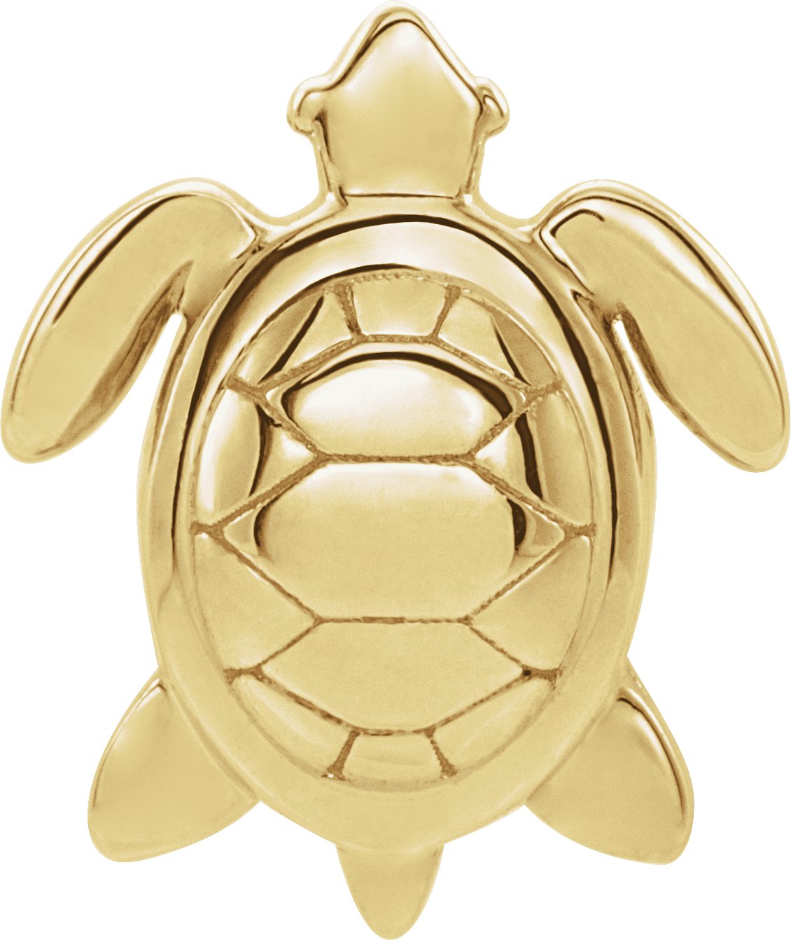 Sea Turtle Trim
