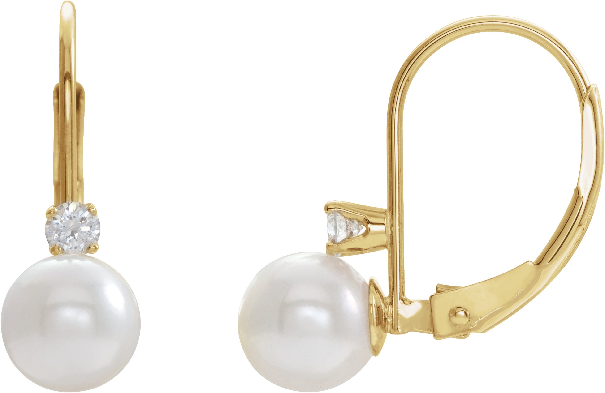 Accented Pearl Lever Back Earrings