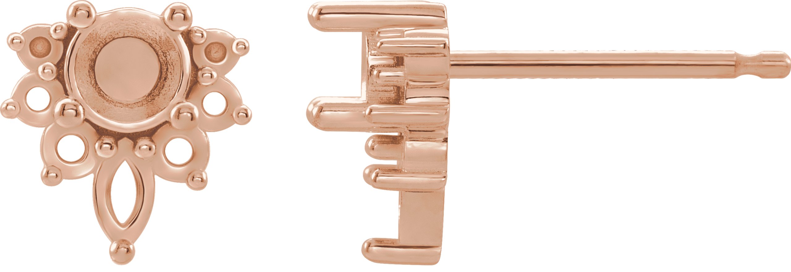 Accented Earrings