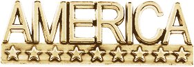 AMERICA Lapel Pin