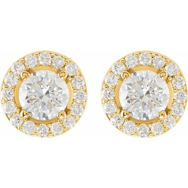 14K Yellow 1 1/2 CTW Natural Diamond Halo-Style Earrings         