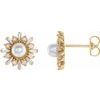 14K Yellow Akoya Pearl, White Opal and .167 CTW Diamond Earrings Ref. 16368432