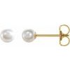 14K Yellow Akoya Cultured Pearl Earrings Ref. 16535508