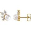14K Yellow Akoya Cultured Pearl and .05 CTW Diamond Earrings Ref. 16501301