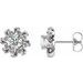 Sterling Silver 1 CTW Natural Diamond Halo-Style Earrings