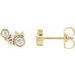14K Yellow 1/4 CTW Natural Diamond Scattered Bezel-Set Earrings