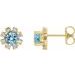 14K Yellow Natural Aquamarine & 1/5 CTW Natural Diamond Earrings