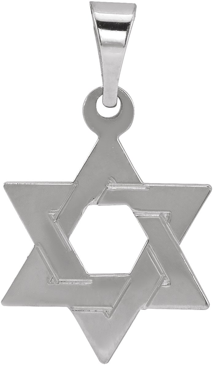 14K White 14x12 mm Star of David Pendant Ref 53297