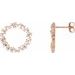 14K Rose 3/4 CTW Natural Diamond Circle Earrings