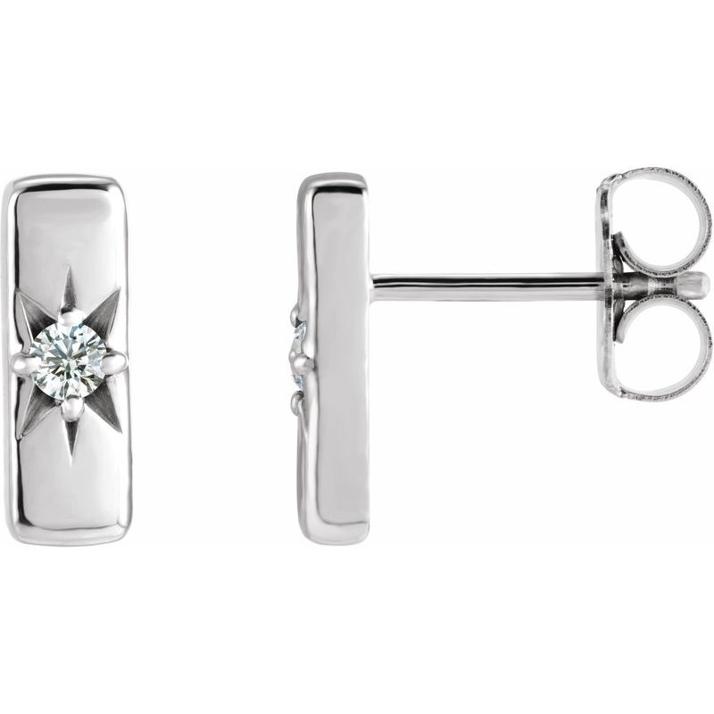 Accented Bar Earrings