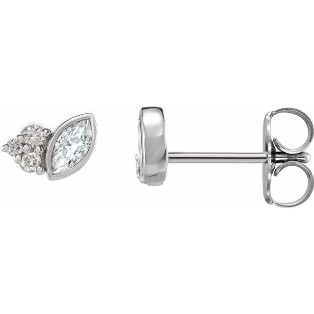 Sterling Silver 1/5 CTW Natural Diamond Earrings
