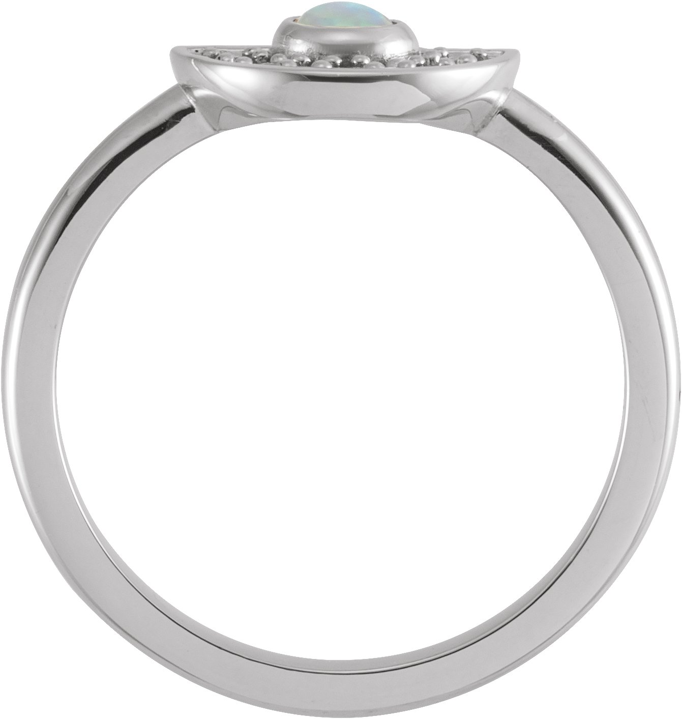 Alternative view of Fan Ring