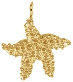 Starfish Charm/Pendant