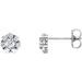 14K White 3/4 CTW Natural Diamond Cluster Earrings