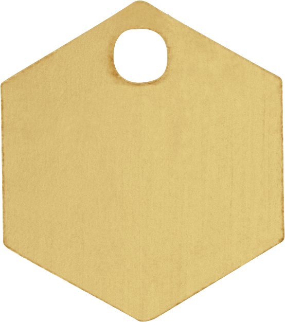Engravable Hexagon Dangle
