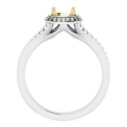 Halo-Style Split Shank Ring