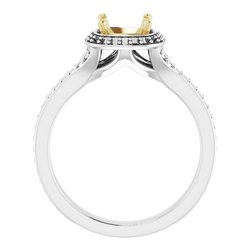 Halo-Style Split Shank Ring