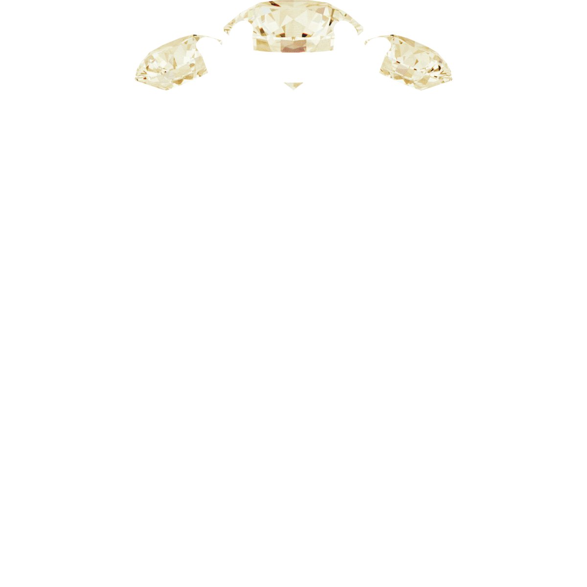 Product Variant Image