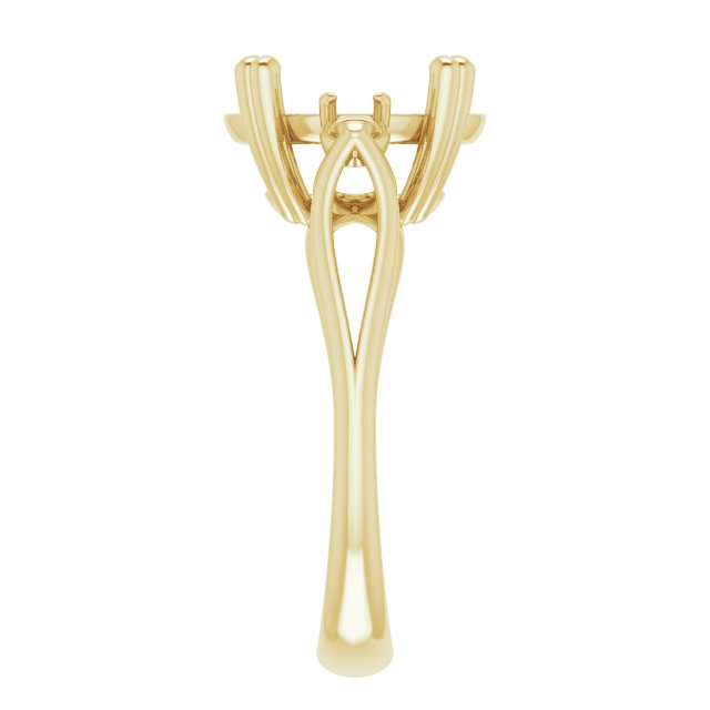 Product Variant Image