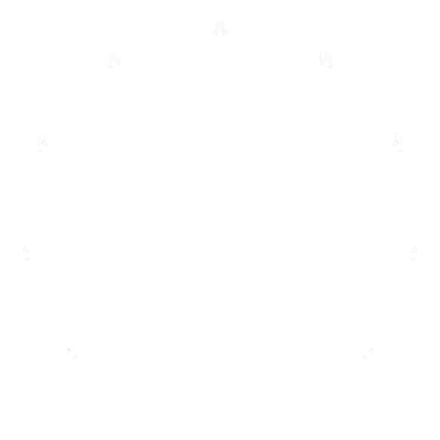 product-image-2