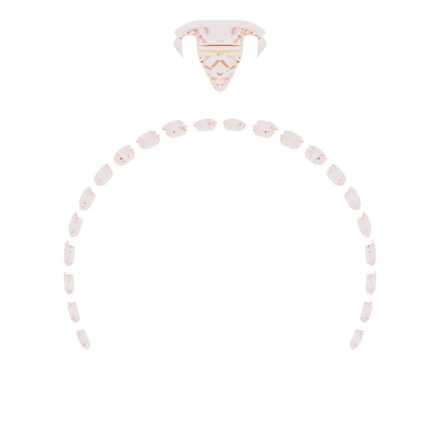 Jewelry image