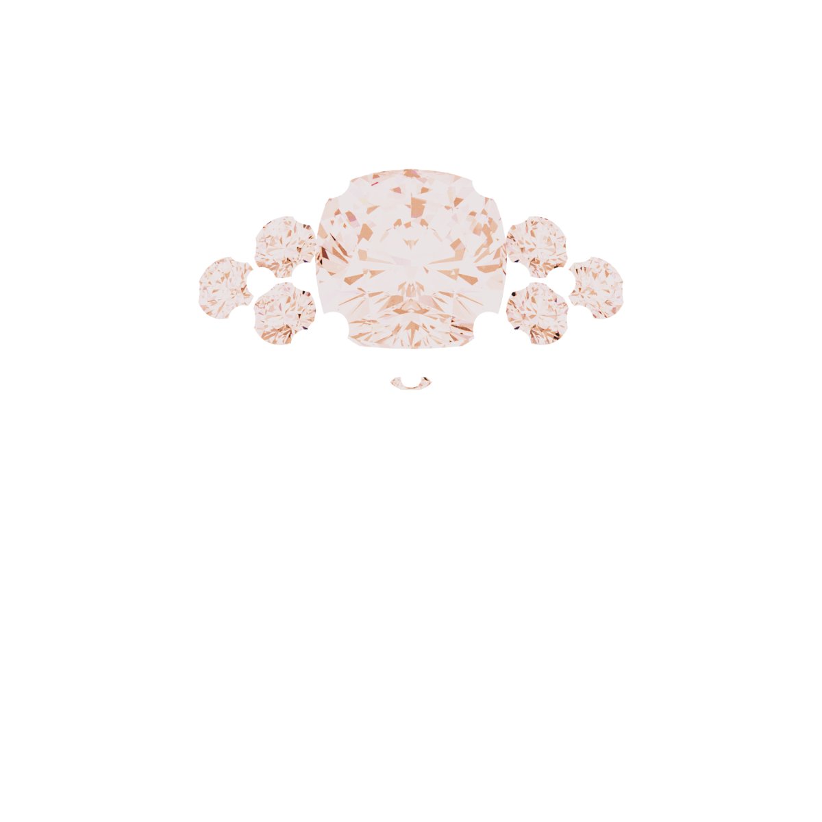 Product Variant Image
