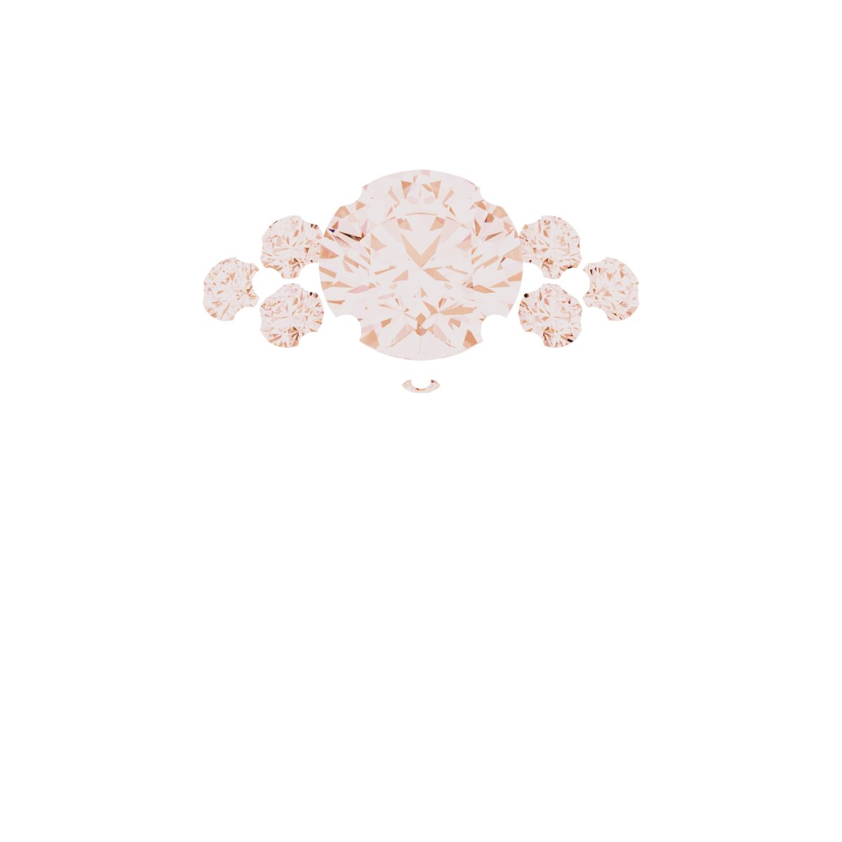 Product Variant Image