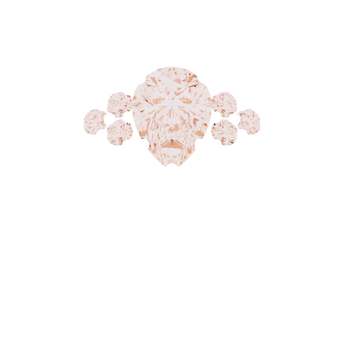 Product Variant Image
