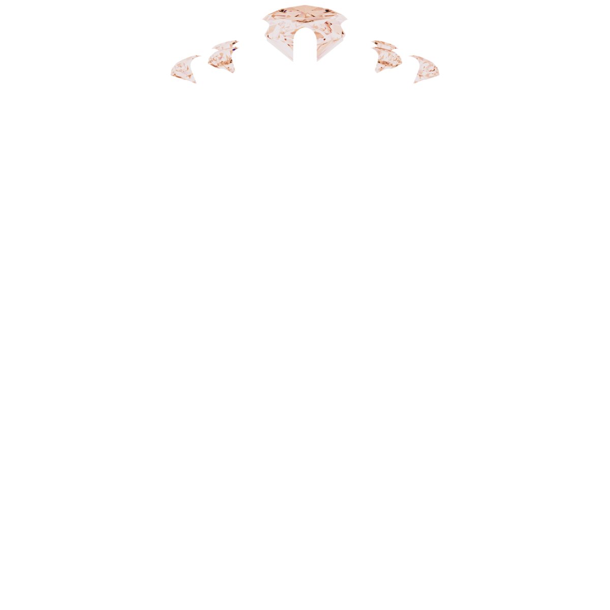 Product Variant Image